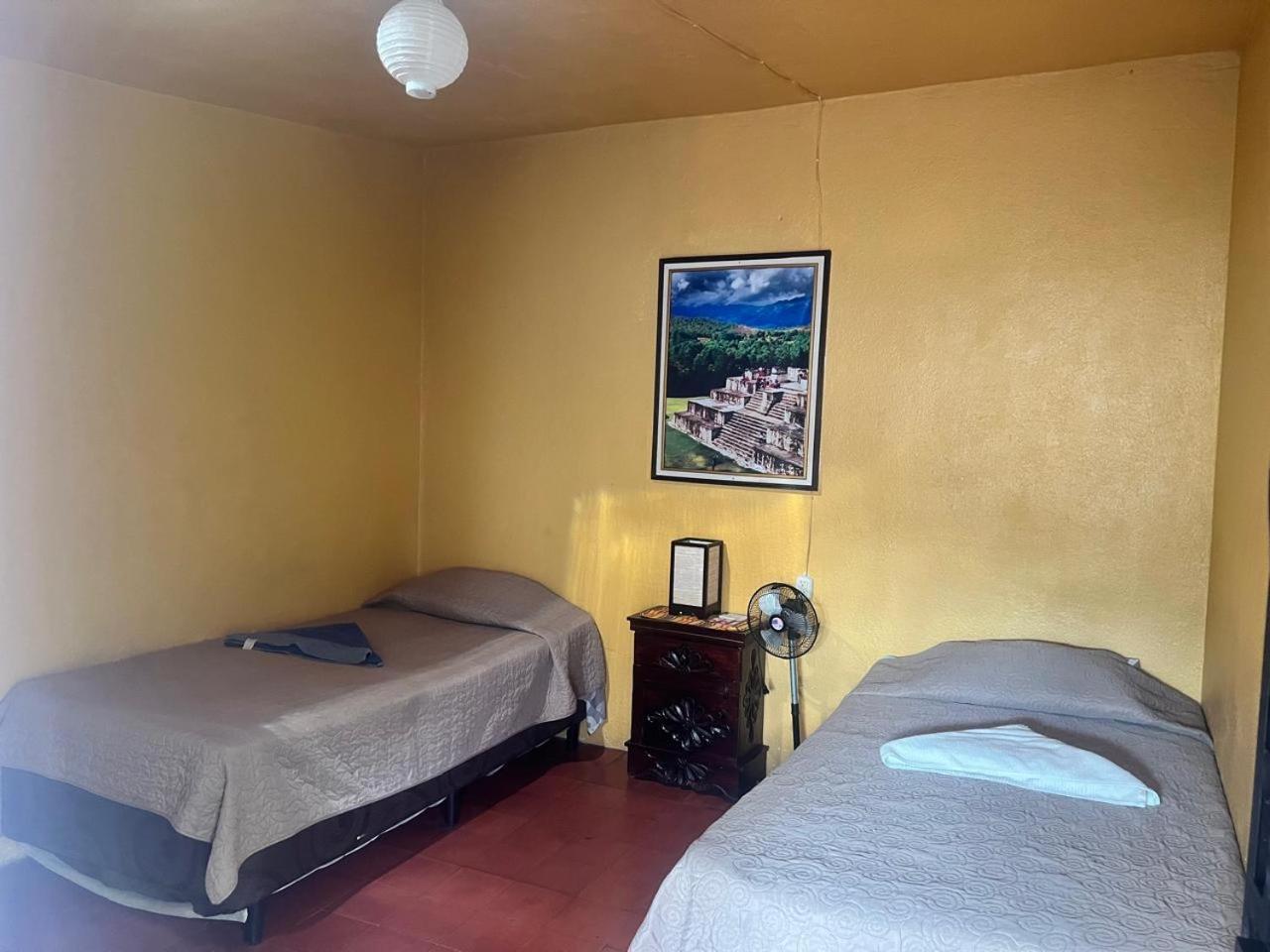 Hotel Alma Maya Antigua Extérieur photo